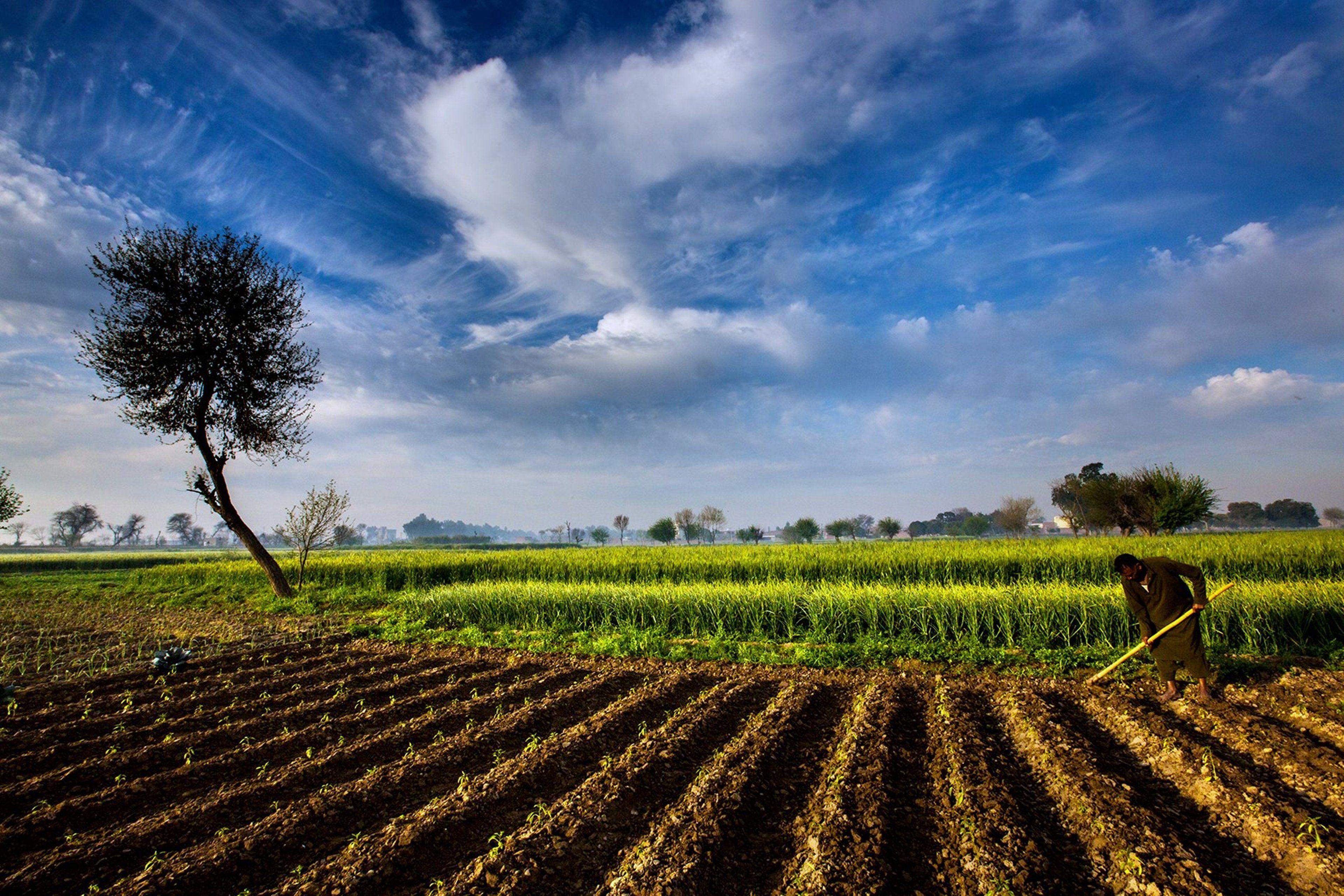 wp1886337 agriculture wallpapers 1