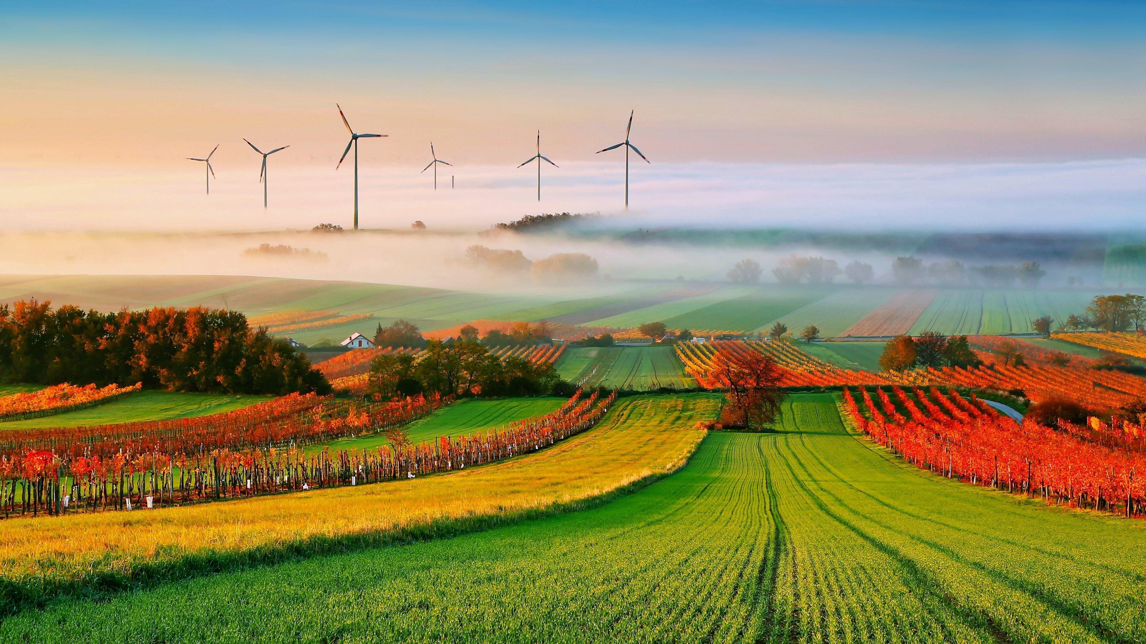 wp1886339 agriculture wallpapers