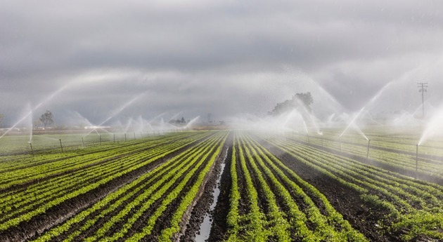 irrigation 7262563 1280 3
